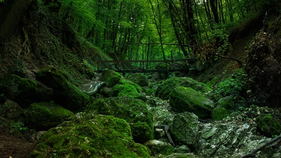 Kirándulás dera szurdok